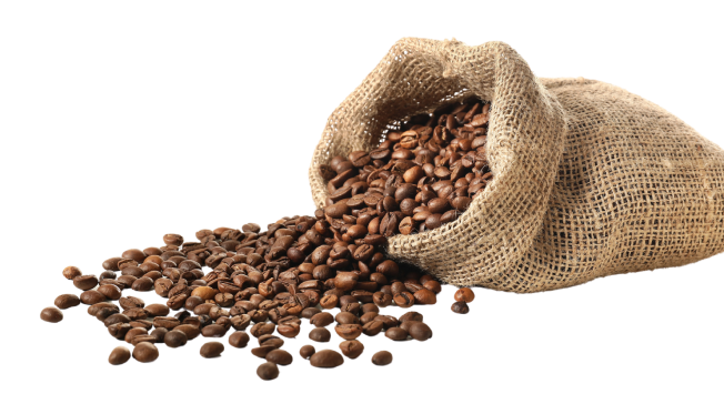 product_bg1.png